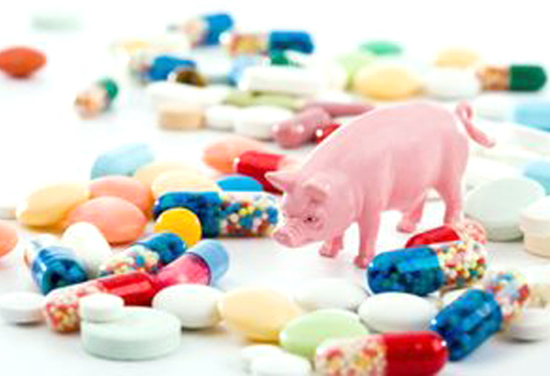 antibiotics-in-animals